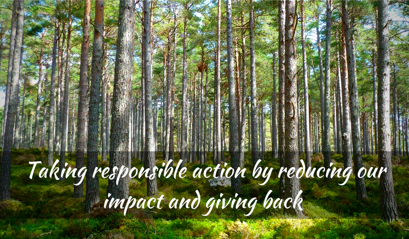 Taking Responsible Action