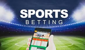 Discover the Thrill of Online Betting with Baji Live