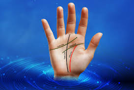 Discover the Secrets of Your Future with Scan Palm Reading